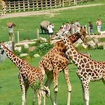 Apartment Neuf Avec Terrasse - Proche Centre & Gare