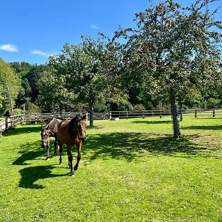 Neuf Avec Terrasse - Proche Centre & Gare * Lisieux