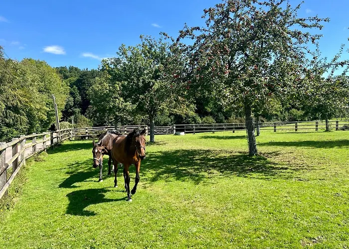 Neuf Avec Terrasse - Proche Centre & Gare * Lisieux