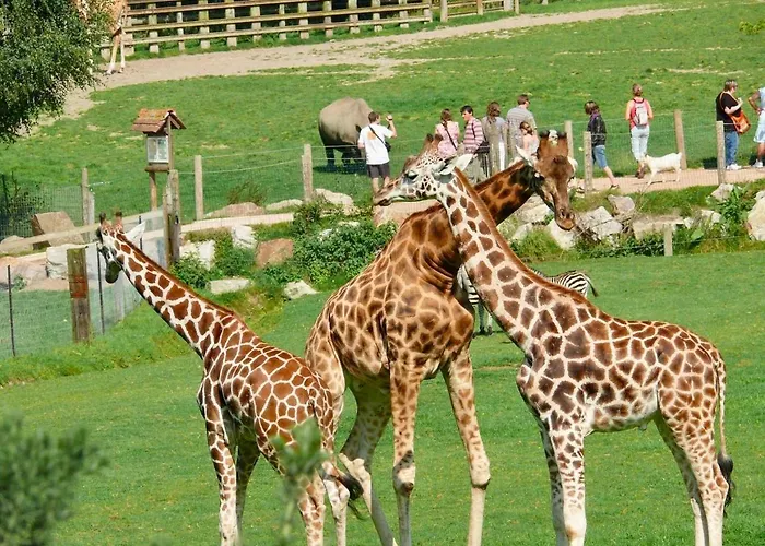 Apartment Neuf Avec Terrasse - Proche Centre & Gare